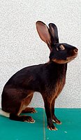20221022_132854A.jpg