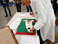 5_keuring4.jpg