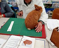 6_keuring5.jpg