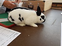 20231021_1104619.jpg