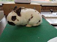 20231021_111419.jpg