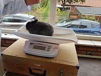 20231021_111846.jpg