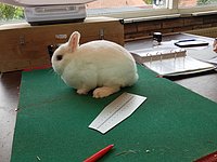 20231021_112428.jpg
