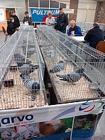 20231021_115348.jpg