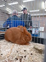 20231021_121927.jpg
