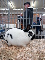 20231021_122104.jpg