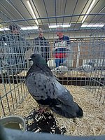 20231021_123732.jpg