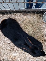 20231021_142030.jpg